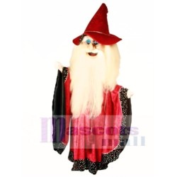 Merlin Wizard Mascot Costume People