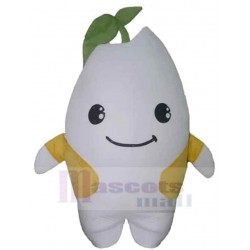 Snowman Potato Plant Mascot Costume Cartoon