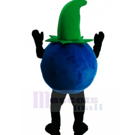 Neuer Stil Bobby Blaubeere Herr Blaubeeren Maskottchen Kostüm Pflanze