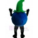 New Style Bobby Blueberry Mr Blueberries Mascot Costume Plant