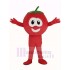 VeggieTales Character Tomato Bob Mascot Costume Cartoon Plants