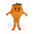 Orange Obst Maskottchen Kostüm