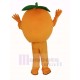 naranja Fruta Disfraz de mascota