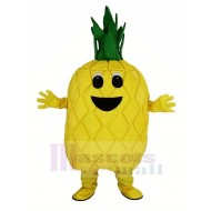 Ananas Frucht Maskottchen Kostüm