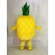 Fruta de piña Disfraz de mascota
