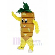 Vegetal de zanahoria Disfraz de mascota Dibujos animados